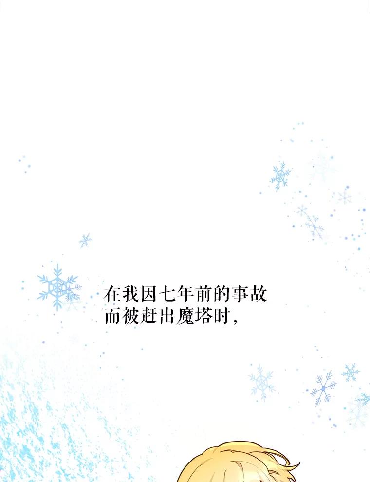 《小说男主竟是我前夫》6.菲尔利森林 第67页