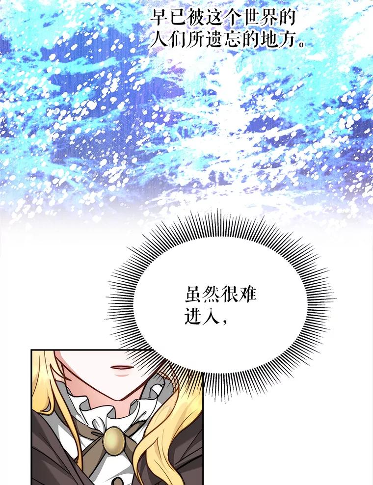 《小说男主竟是我前夫》6.菲尔利森林 第70页