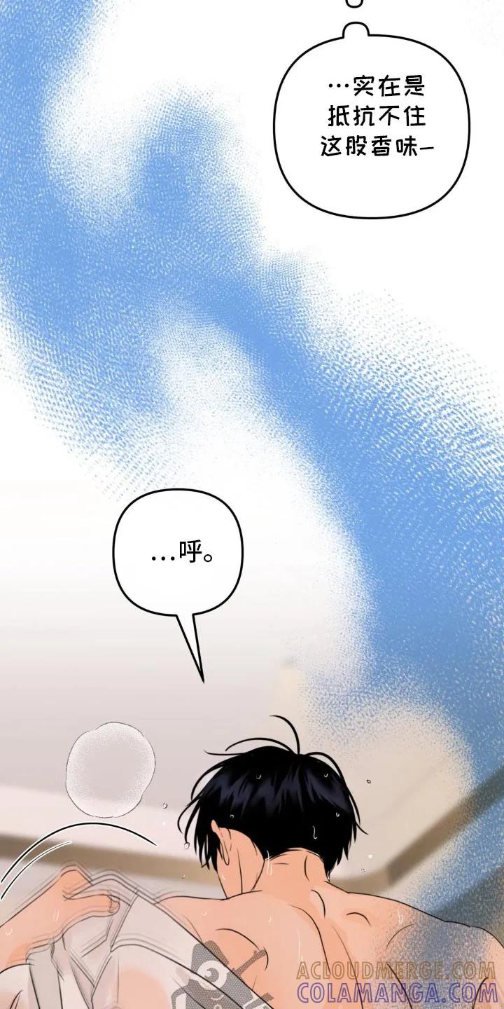 香味的边界 - 第57章：有什么要说 - 第11张图