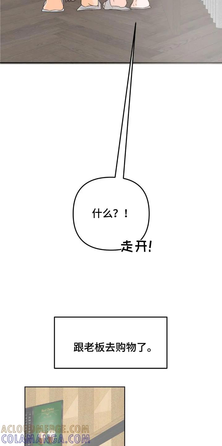 香味的边界 - 第59章：去购物 - 第15张图