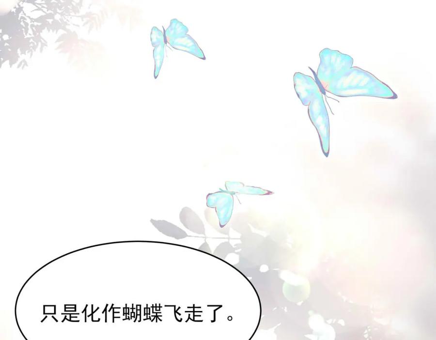 《书写世界之笔》花坠蝶离 第68页