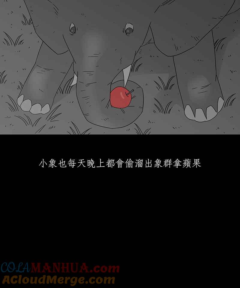 黑盒子 [第199话] 摄象者(2) 第37页