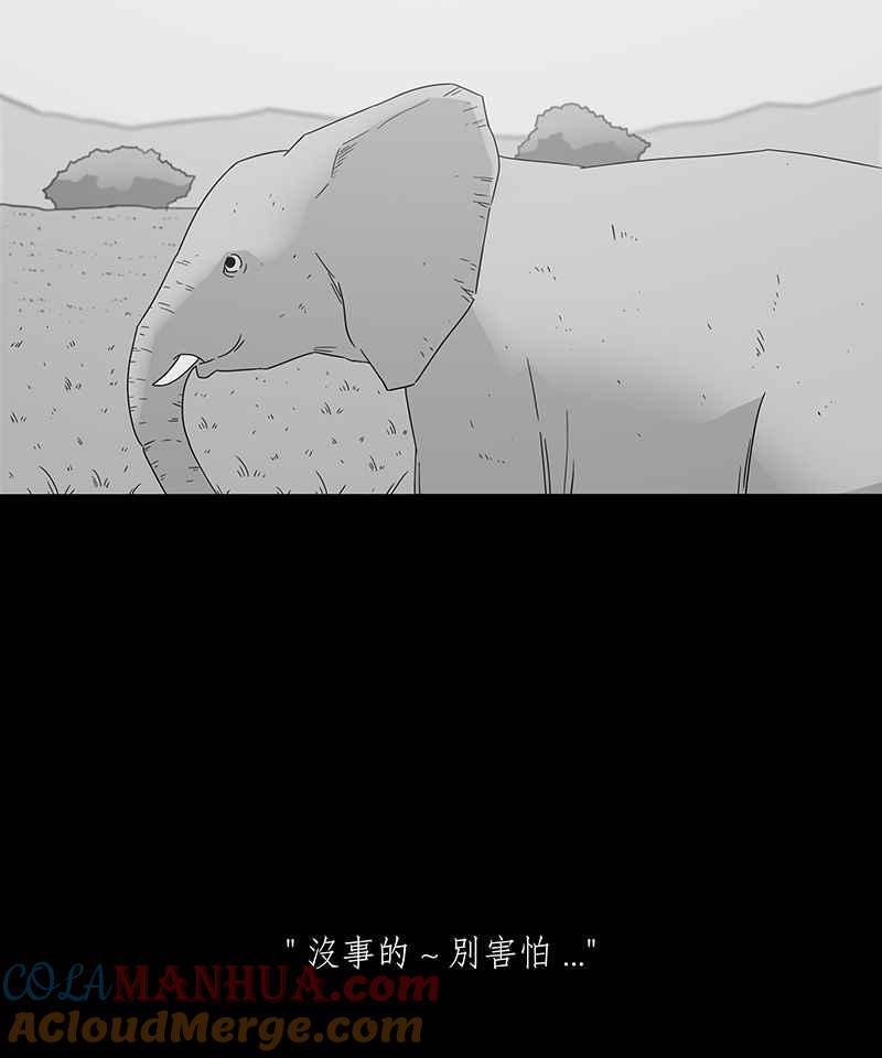 黑盒子 [第199话] 摄象者(2) 第17页