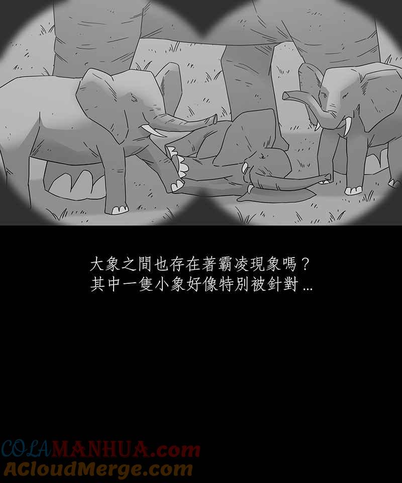 黑盒子 [第199话] 摄象者(2) 第3页