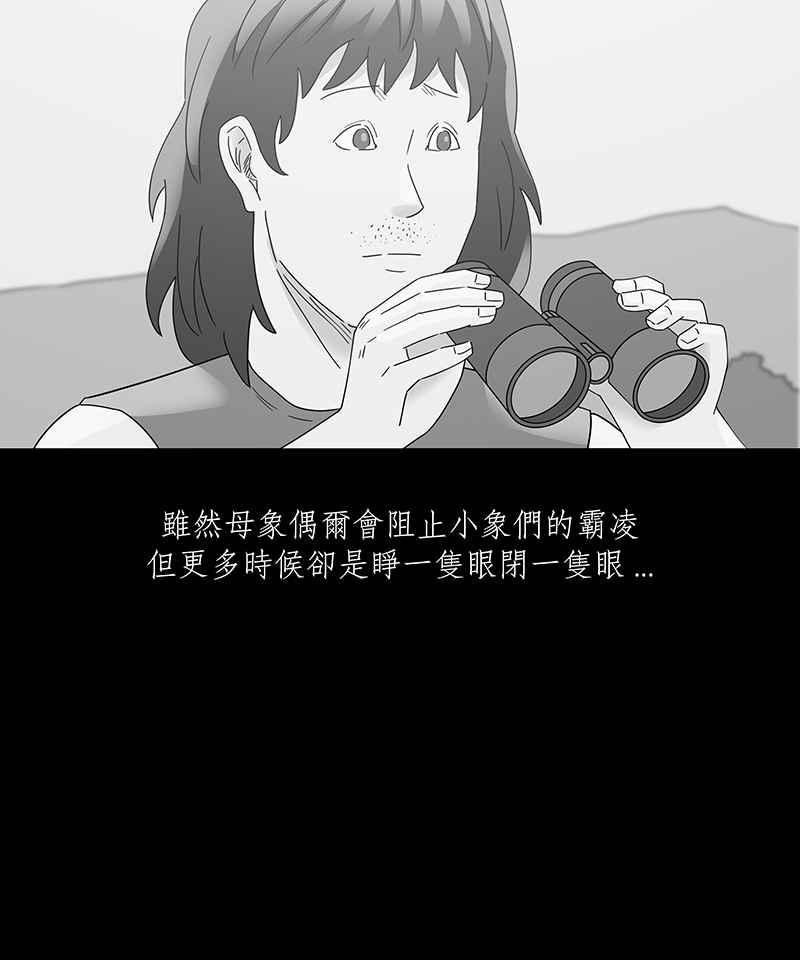 黑盒子 [第199话] 摄象者(2) 第4页