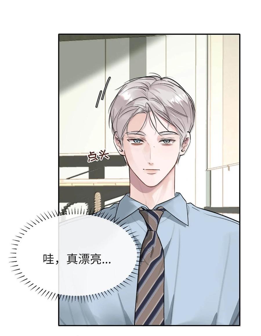 小羊向导从不左右为难 012 精神力崩溃。 第11页