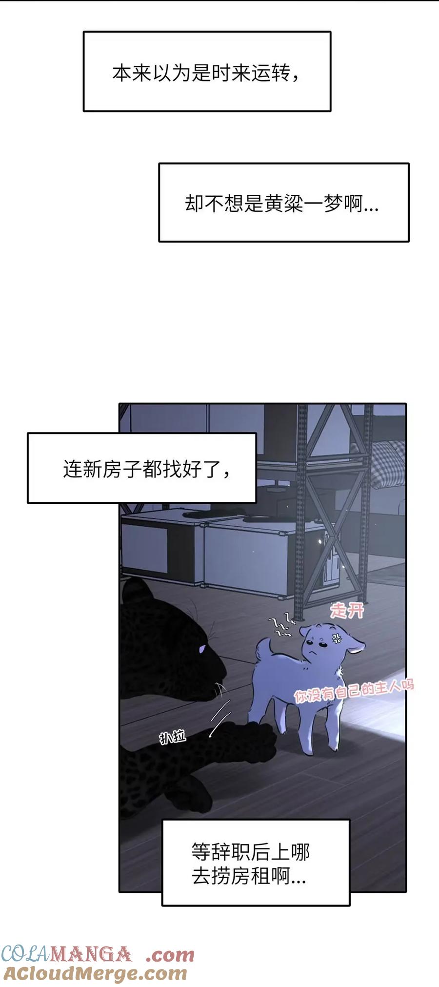 小羊向导从不左右为难 017 那用谁呢？郑嘉？郑言？ 第40页