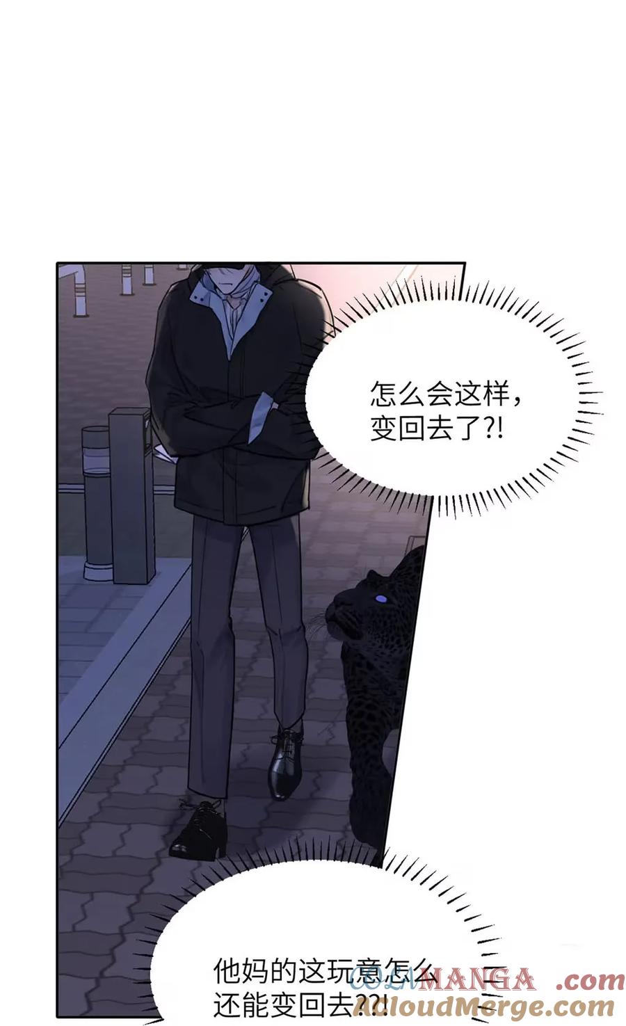 小羊向导从不左右为难 017 那用谁呢？郑嘉？郑言？ 第4页