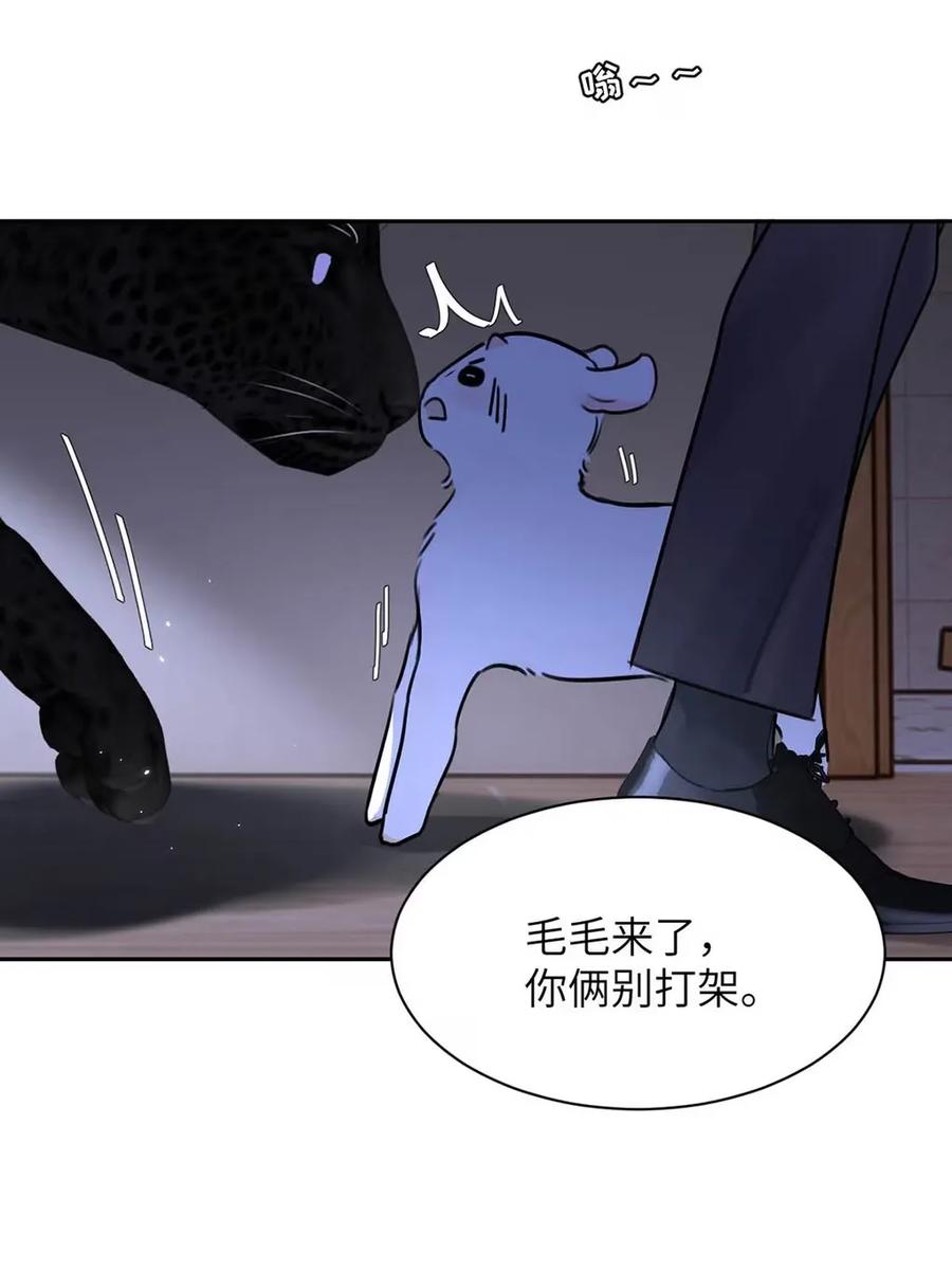 小羊向导从不左右为难 017 那用谁呢？郑嘉？郑言？ 第35页
