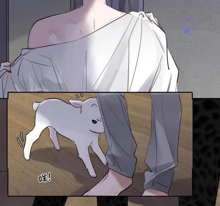 小羊向导从不左右为难 031 提前分化。 第5页