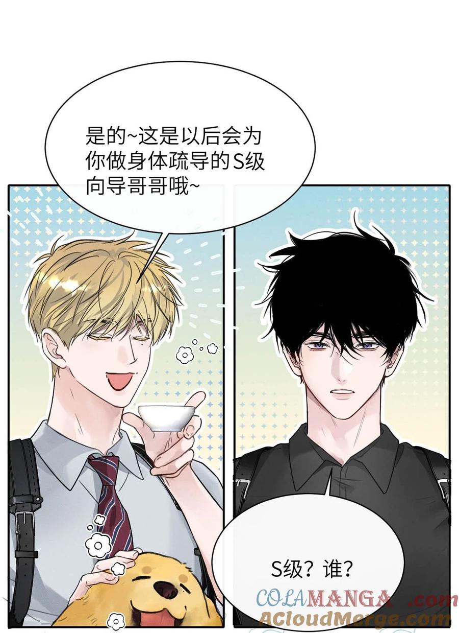 小羊向导从不左右为难 007 真怕给你爽死了。 第33页