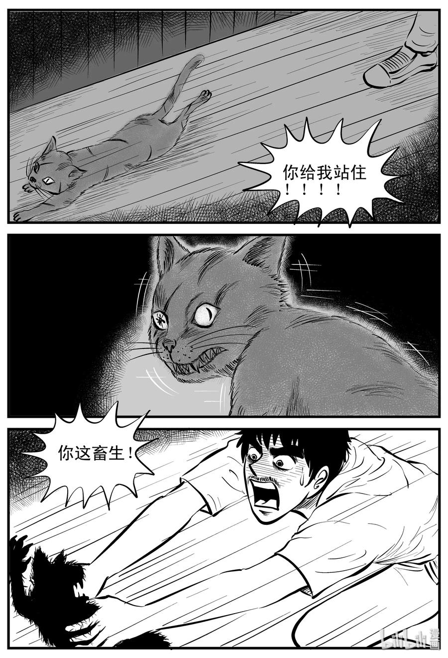 小智怪谈 163 猫 第14页