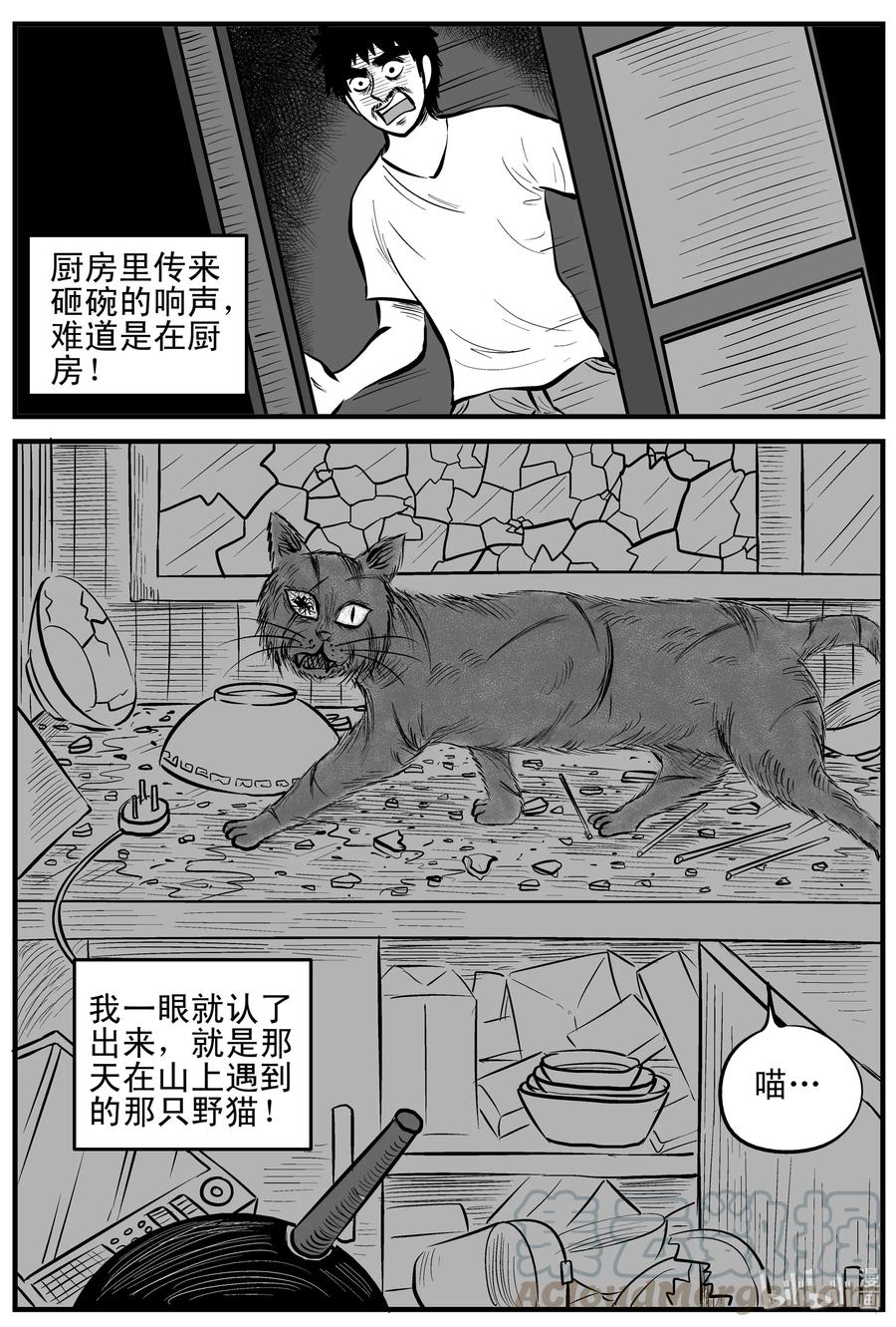 小智怪谈 163 猫 第10页