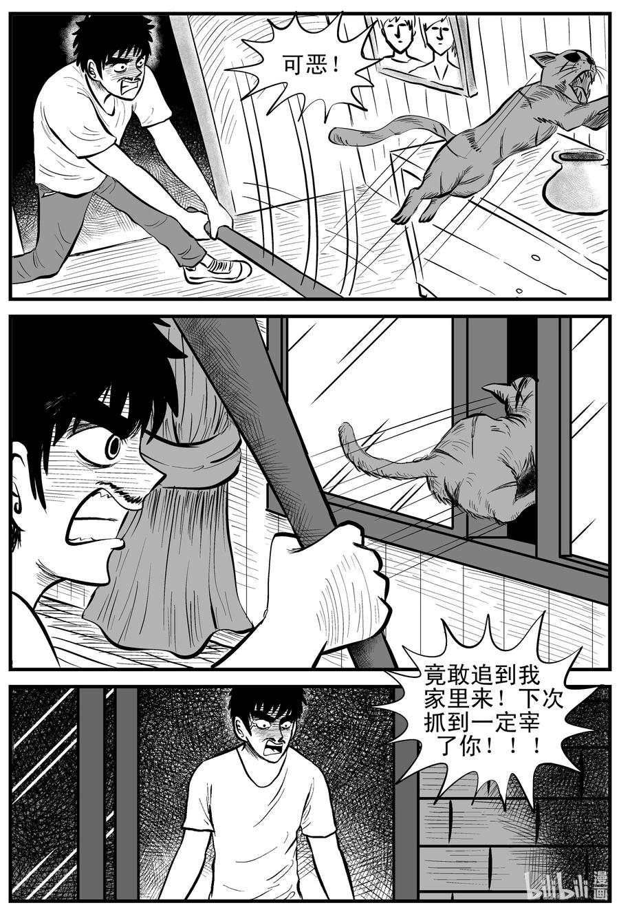 小智怪谈 163 猫 第11页