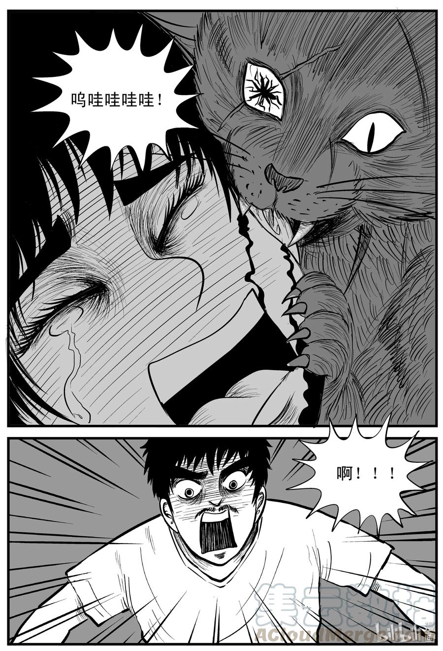 小智怪谈 163 猫 第13页