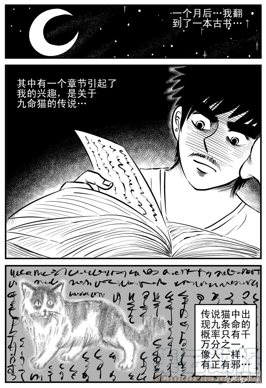 小智怪谈 163 猫 第22页