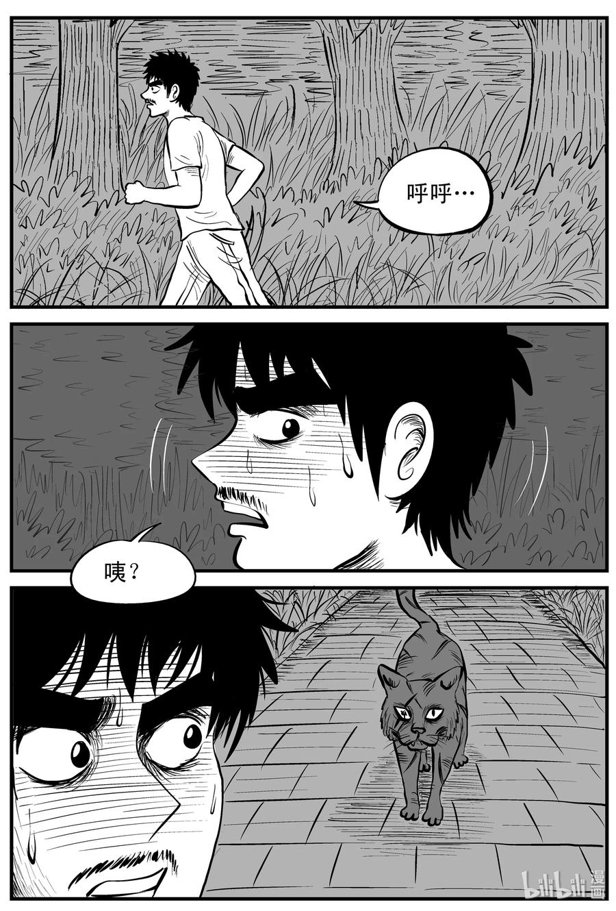 小智怪谈 163 猫 第5页