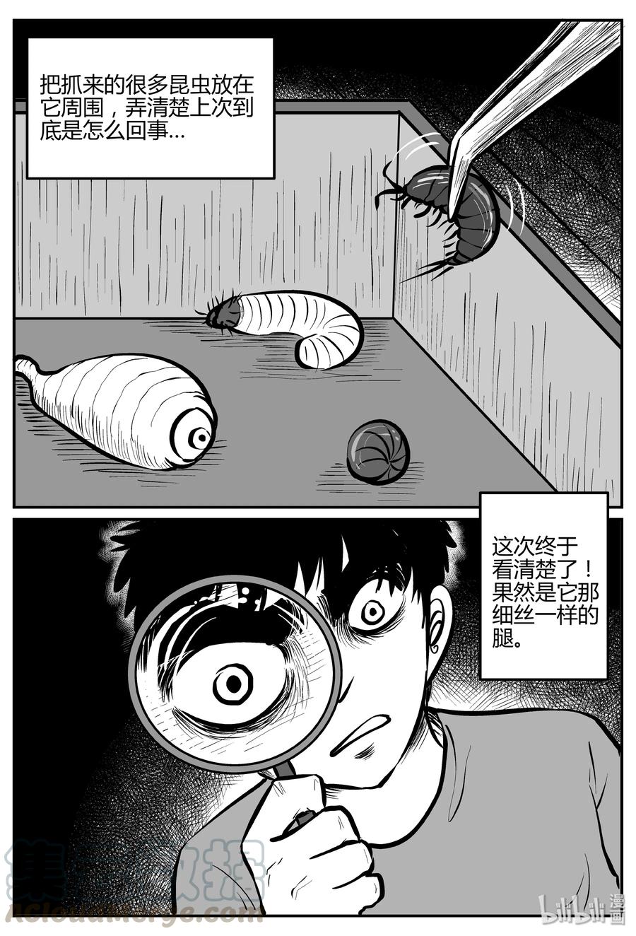 小智怪谈 307 寄生虫（5） 第13页