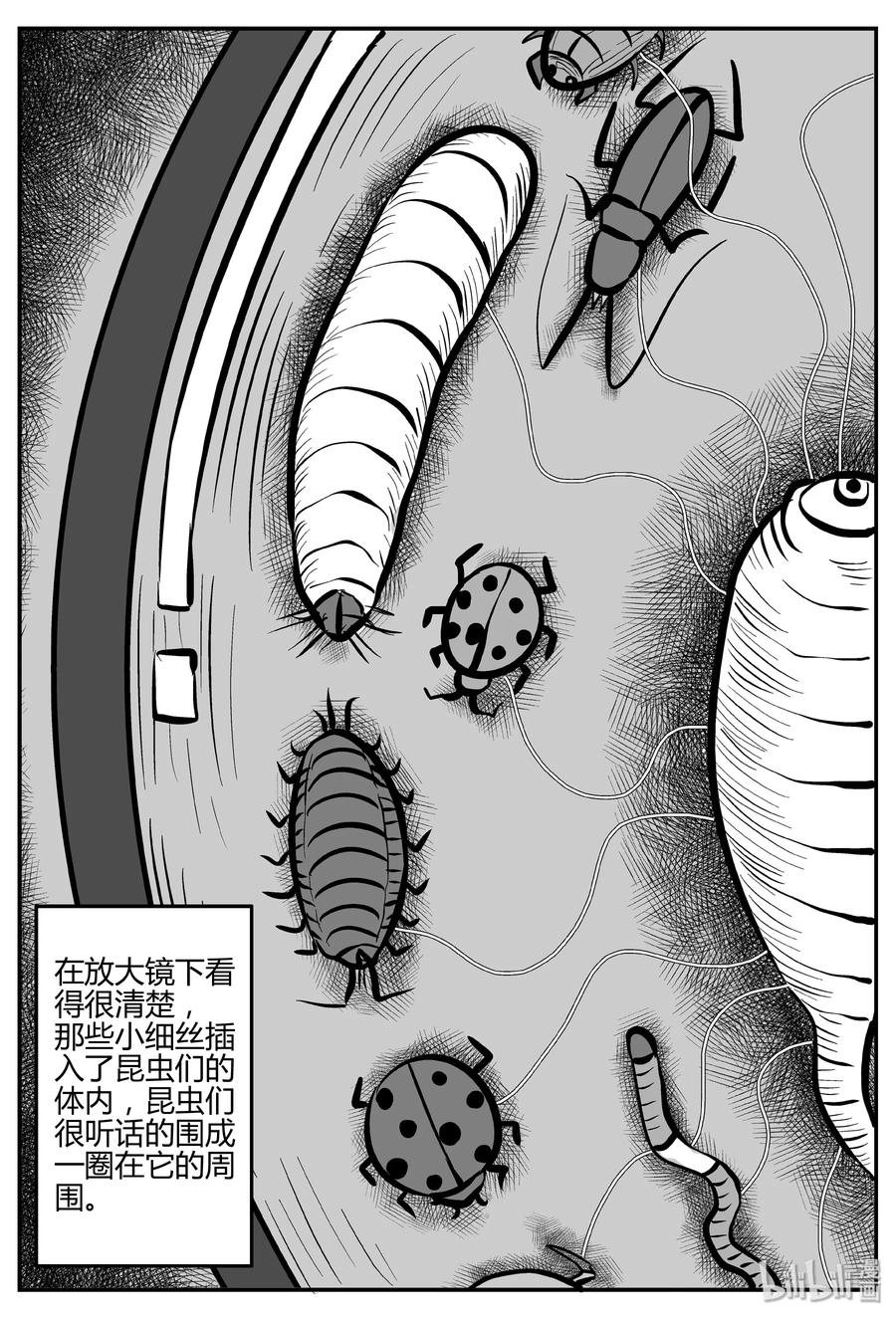 小智怪谈 307 寄生虫（5） 第14页