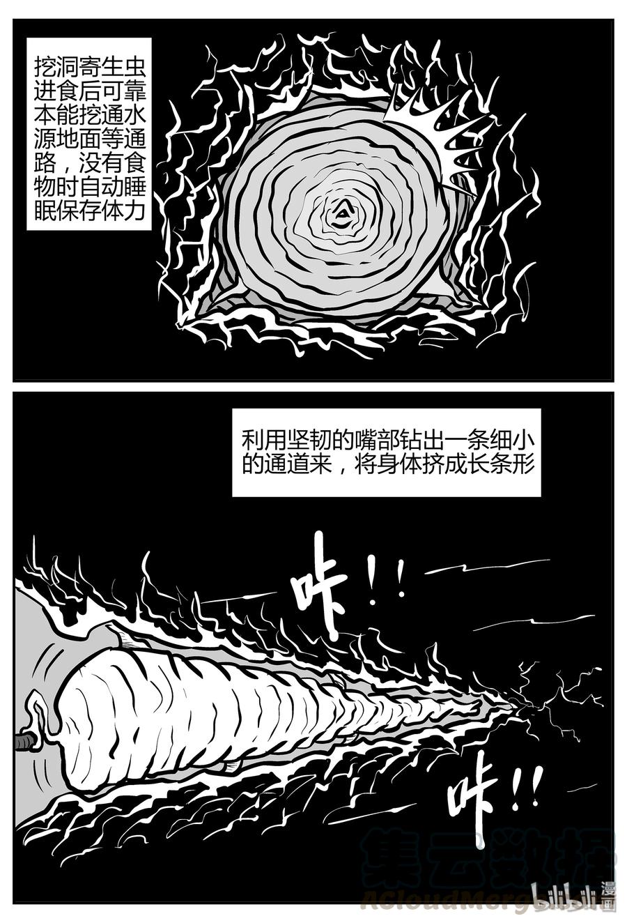 小智怪谈 038 它：源（6） 第7页