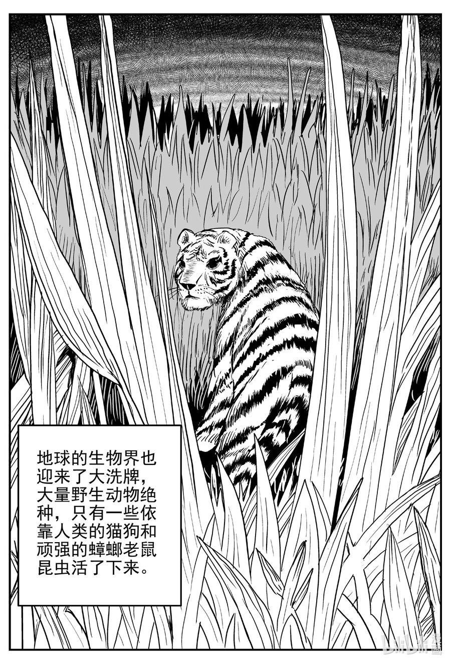 小智怪谈 611 22世纪杀人网络 第4页