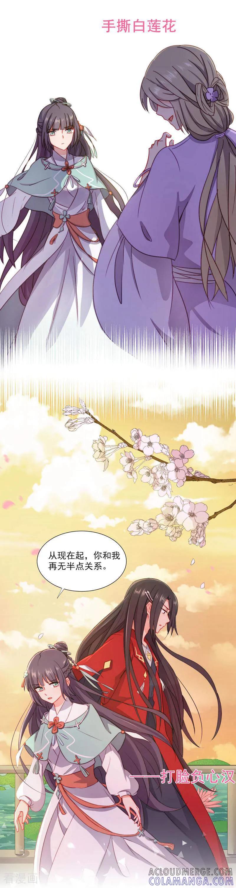 《邪君的神医小妾》第1话 第6页