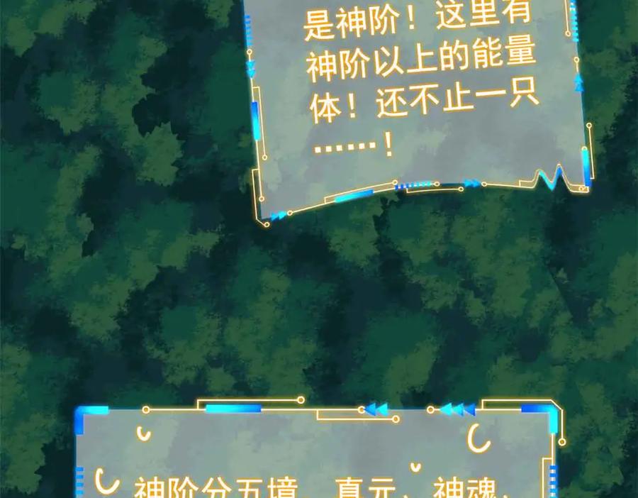 从精神病院走出的强者 323 神阶以下，雷落成灰 第23页