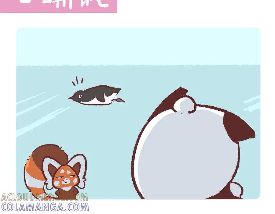 《胖达x胖达》第272话 第15页