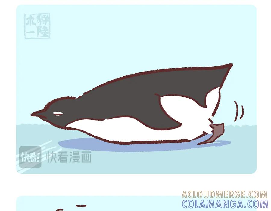 《胖达x胖达》第272话 第17页