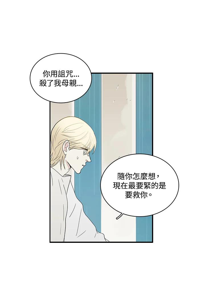 《梅蒂纳》第82话 第41页
