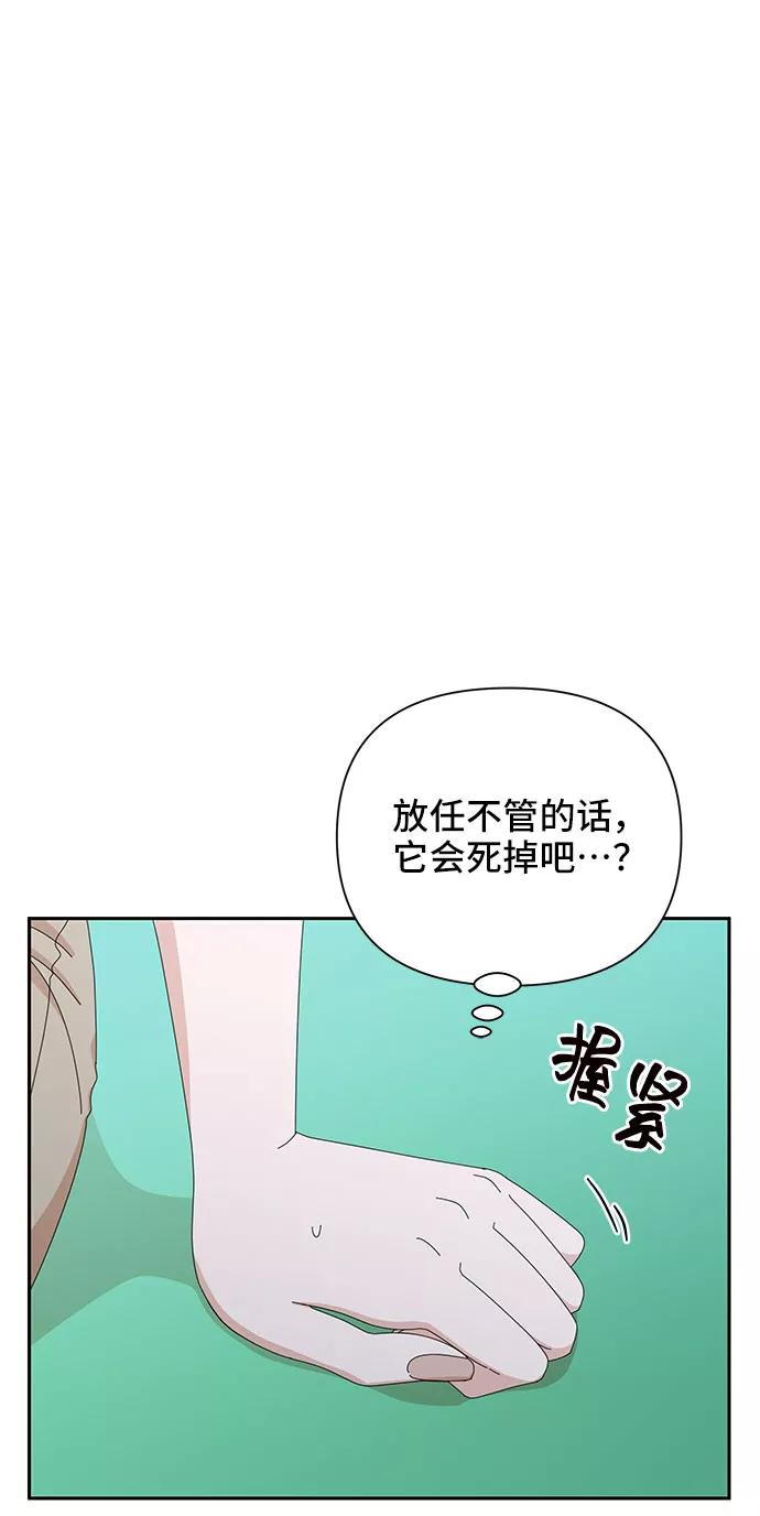《嘴唇漂亮的男人》第29话 第84页