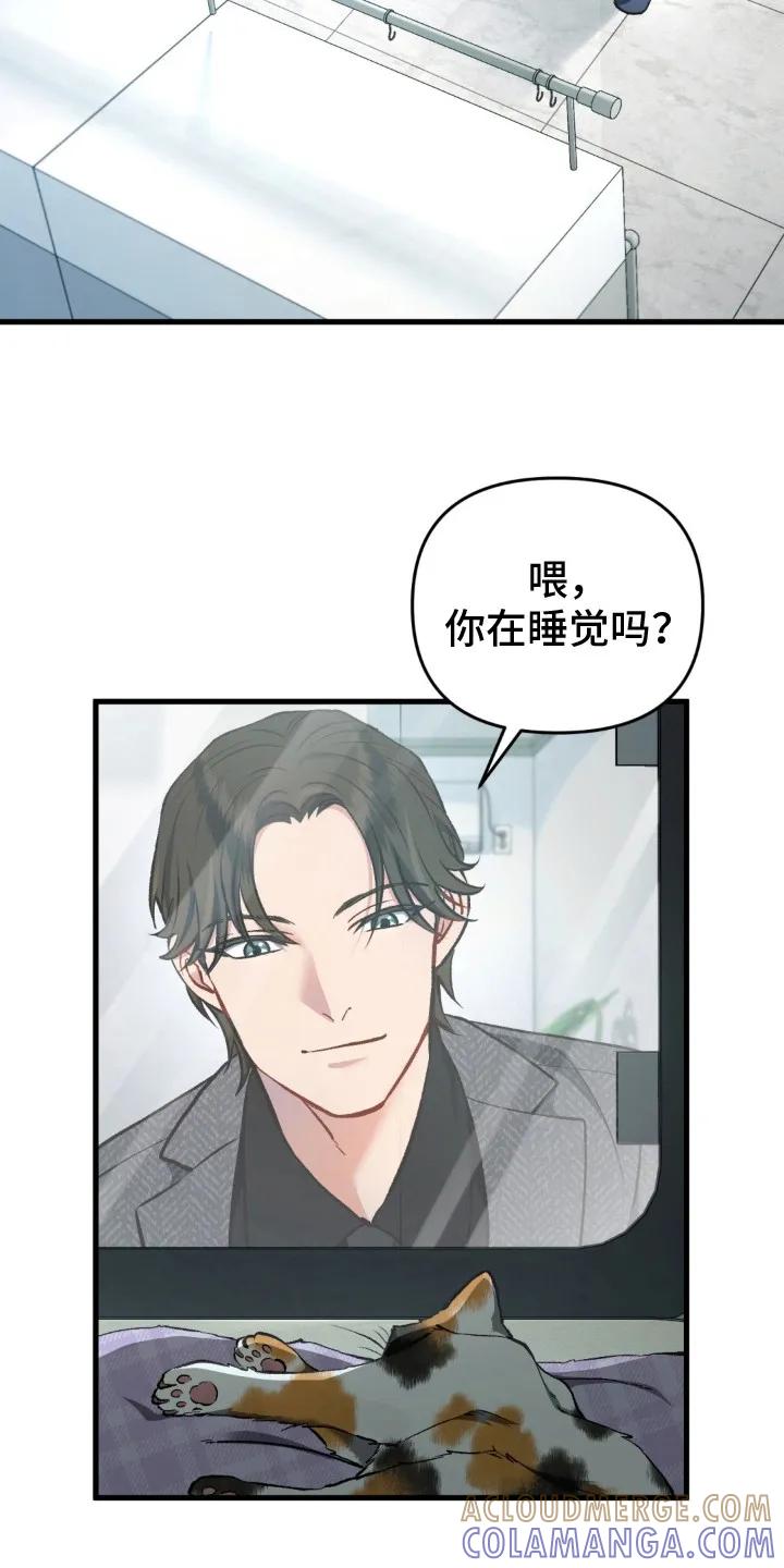 《快穿救赎》第17章：离去 第7页