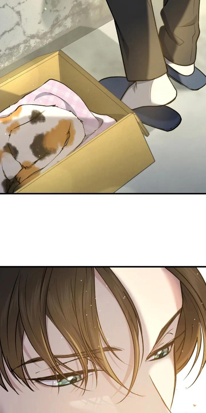 《快穿救赎》第18章：情绪激动 第6页