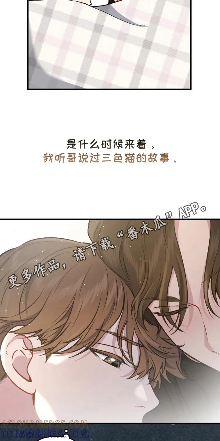 《快穿救赎》第22章：活着的意义 第11页