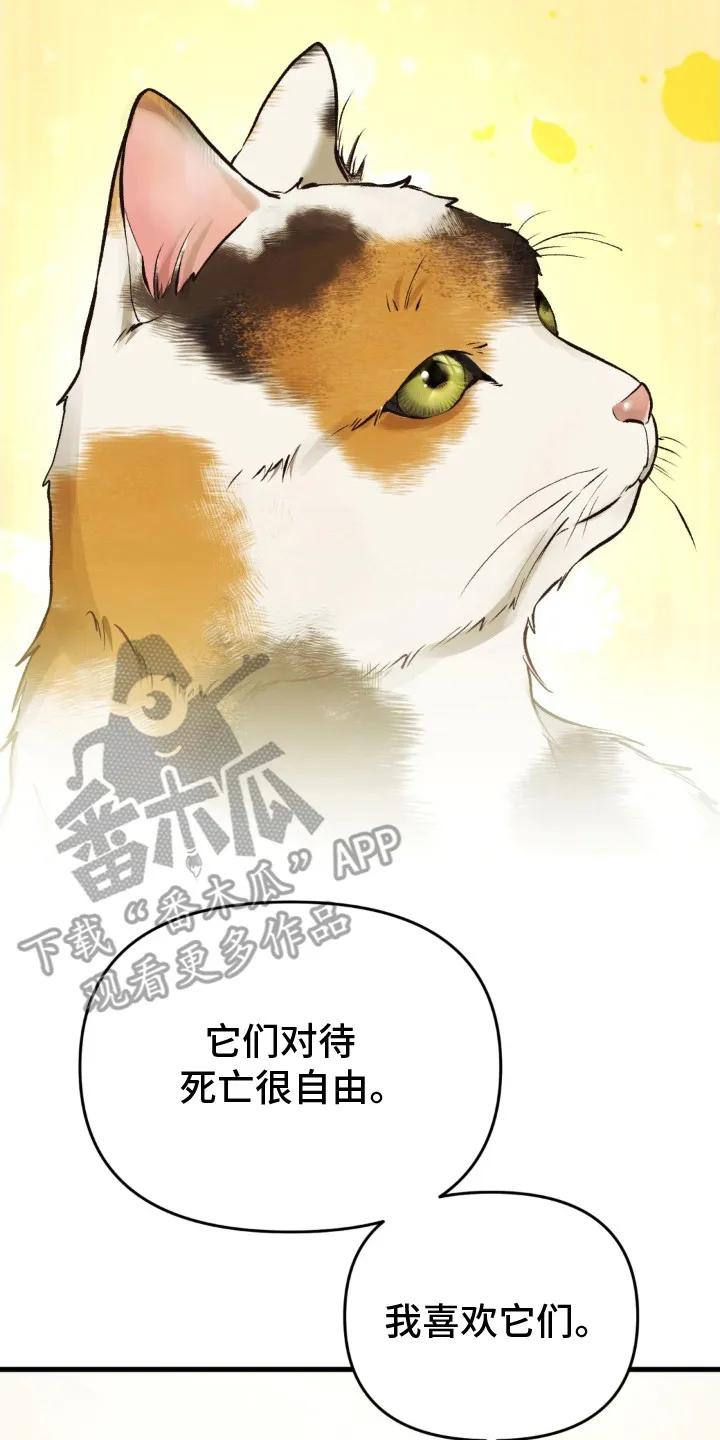 《快穿救赎》第22章：活着的意义 第26页
