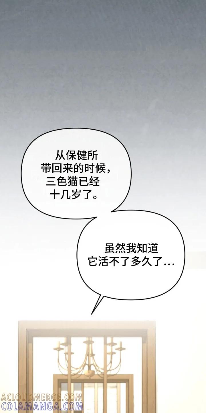 《快穿救赎》第22章：活着的意义 第13页