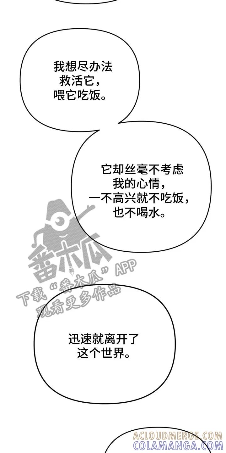 《快穿救赎》第22章：活着的意义 第23页