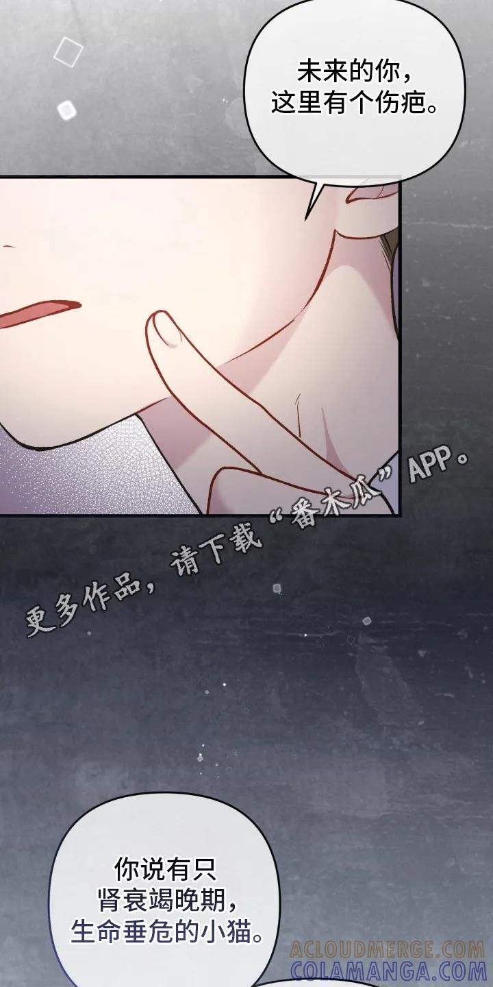 《快穿救赎》第25章：表明心意 第5页