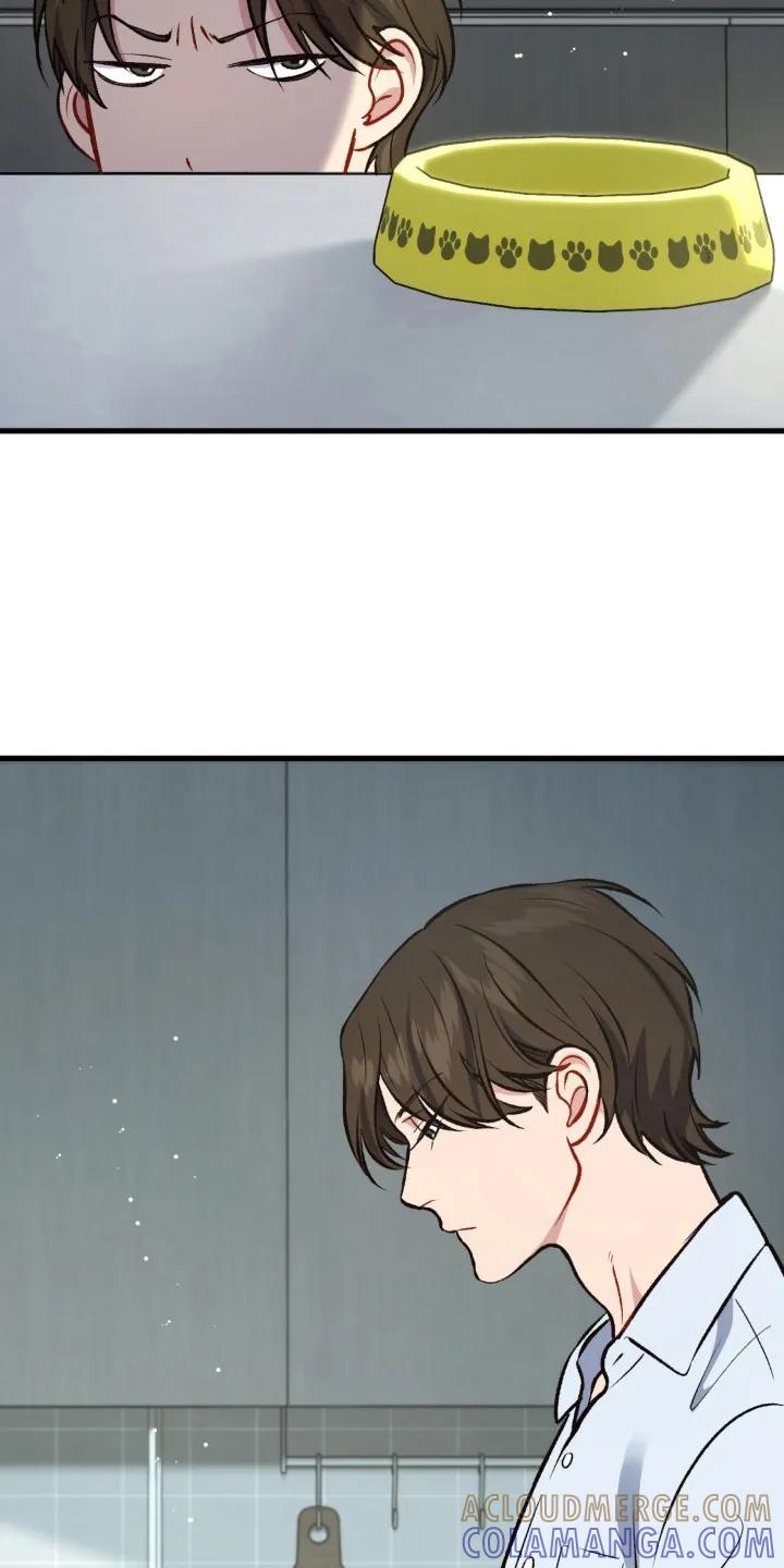 《快穿救赎》第26章：消息 第19页