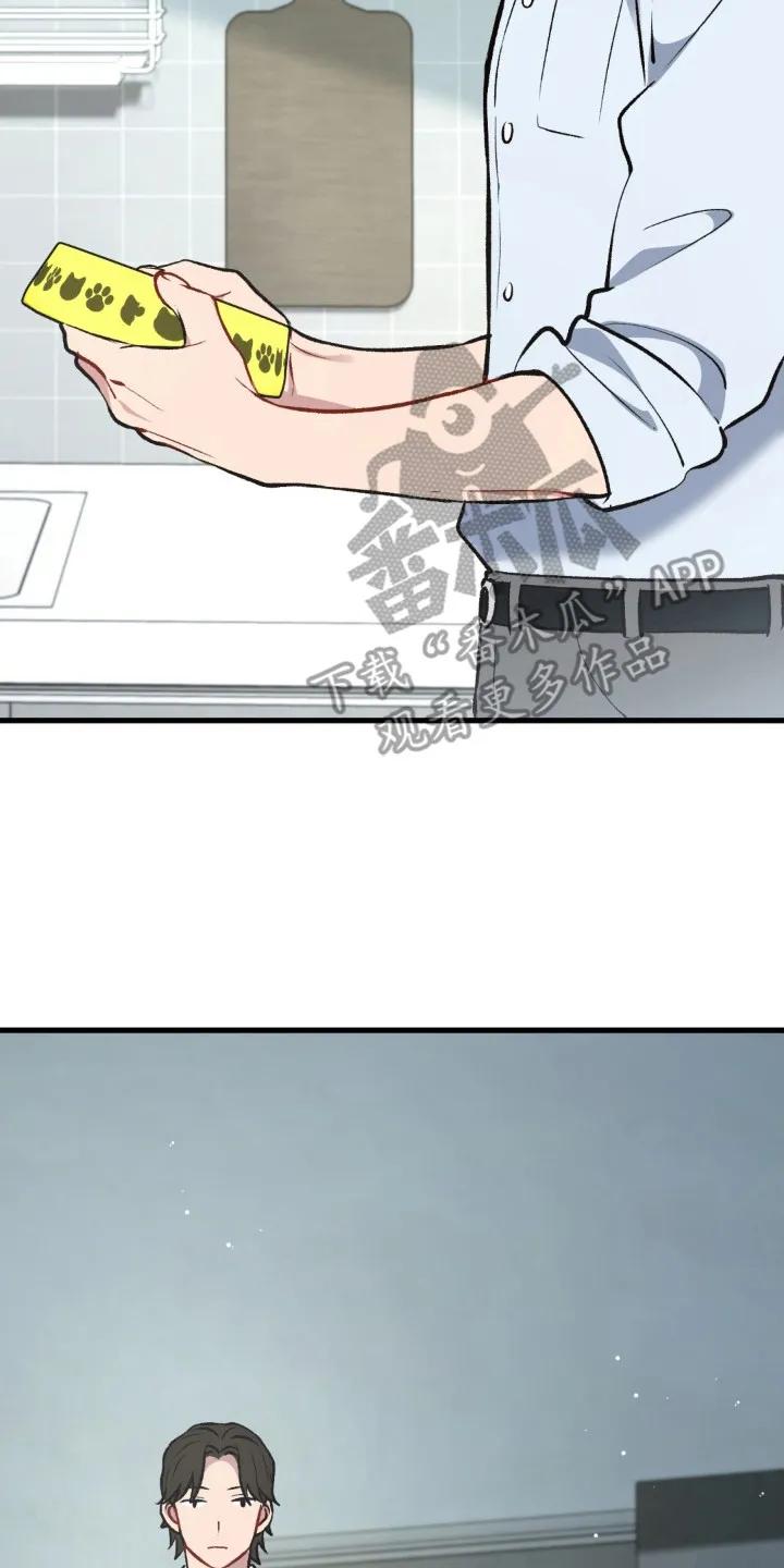 《快穿救赎》第26章：消息 第20页