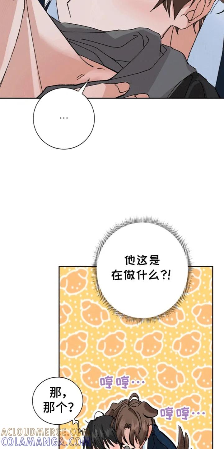 别样新婚 - 第2章：和我结婚吧 - 第11张图