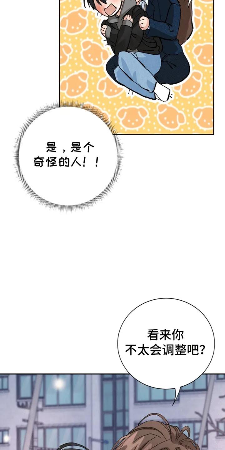 别样新婚 - 第2章：和我结婚吧 - 第12张图