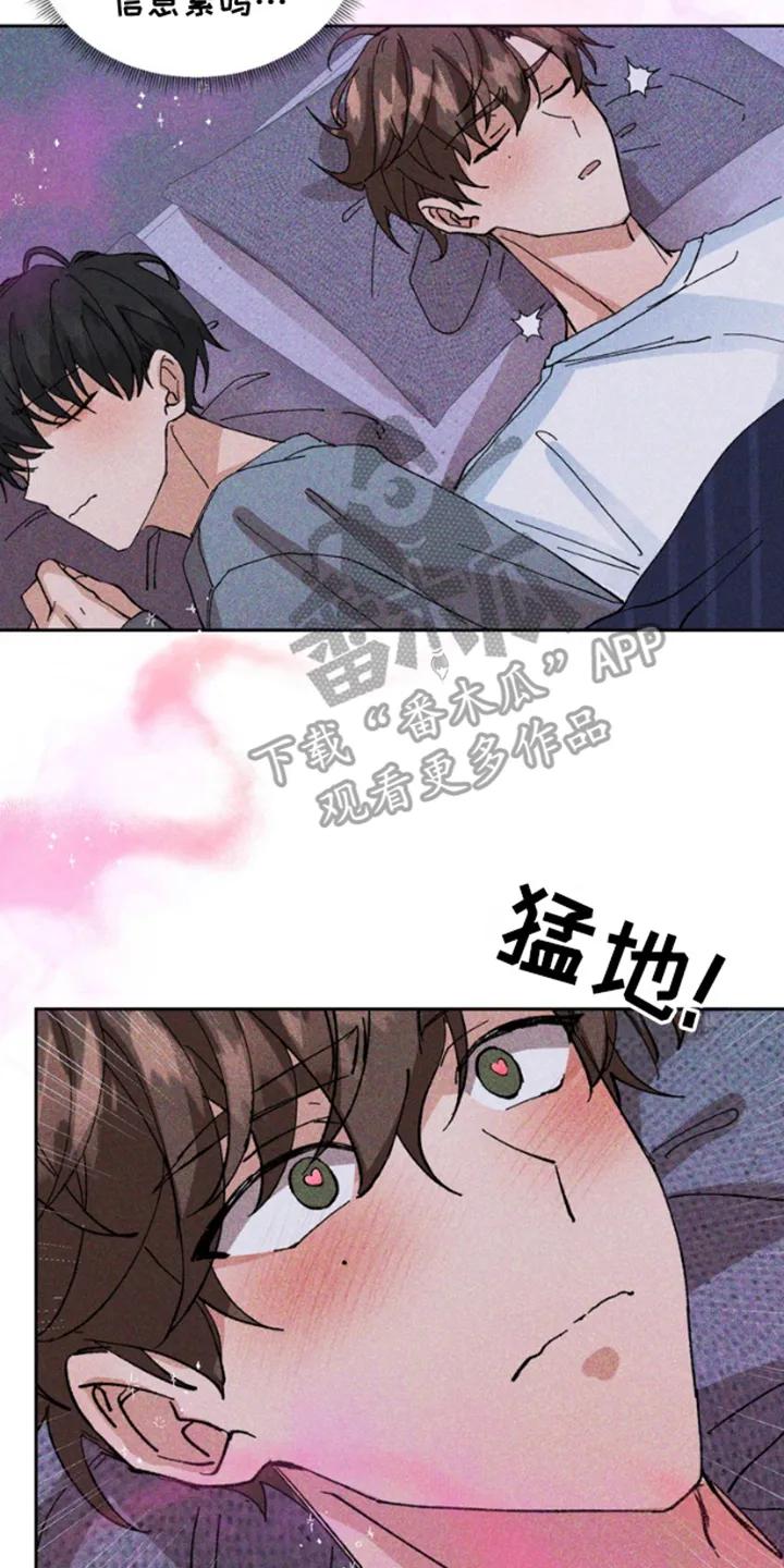 别样新婚 - 第8章：抱歉 - 第4张图