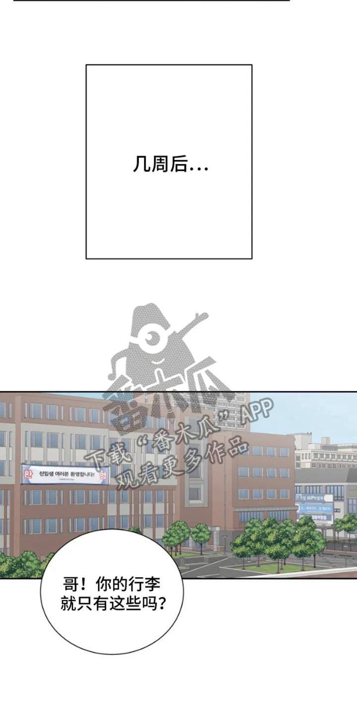 别样新婚 - 第8章：抱歉 - 第10张图