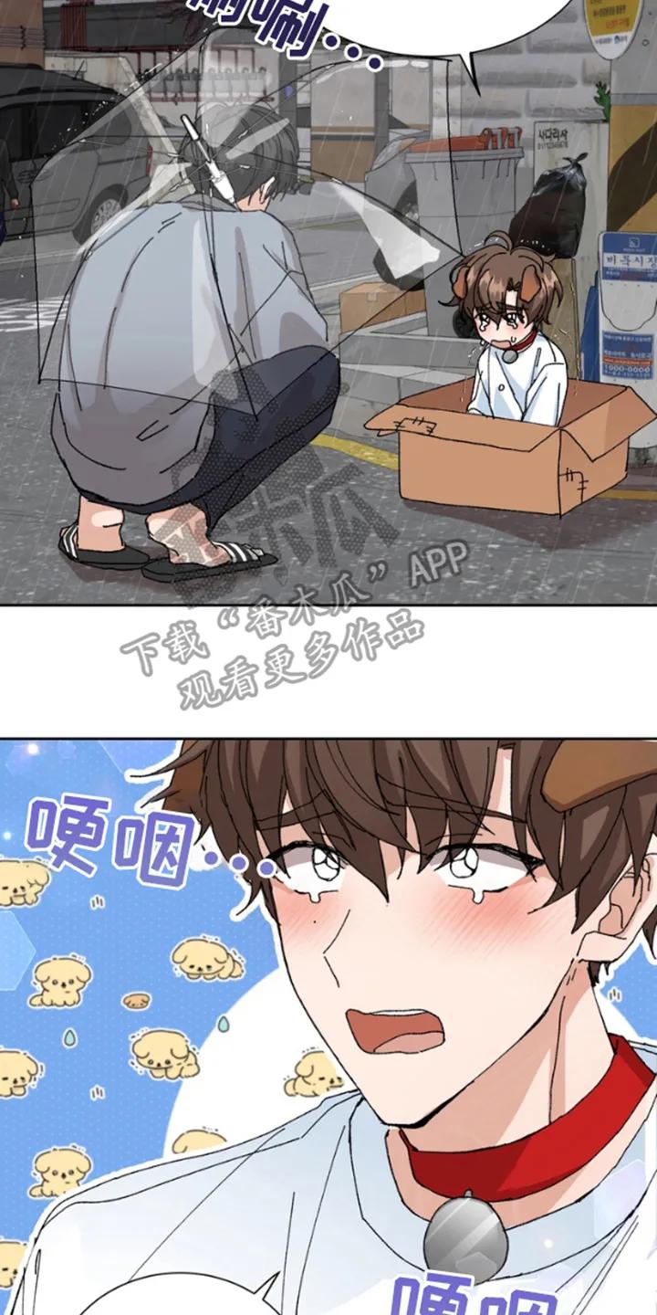 别样新婚 - 第8章：抱歉 - 第8张图