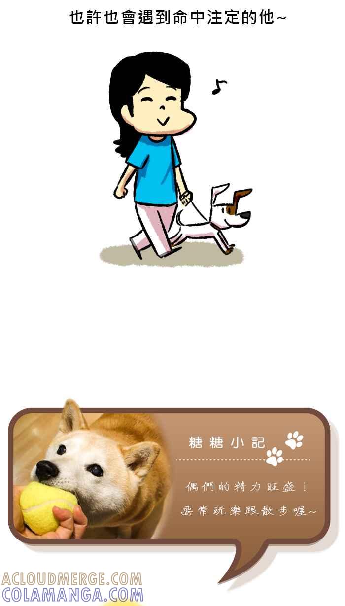 《柴犬周记》第62话 第6页