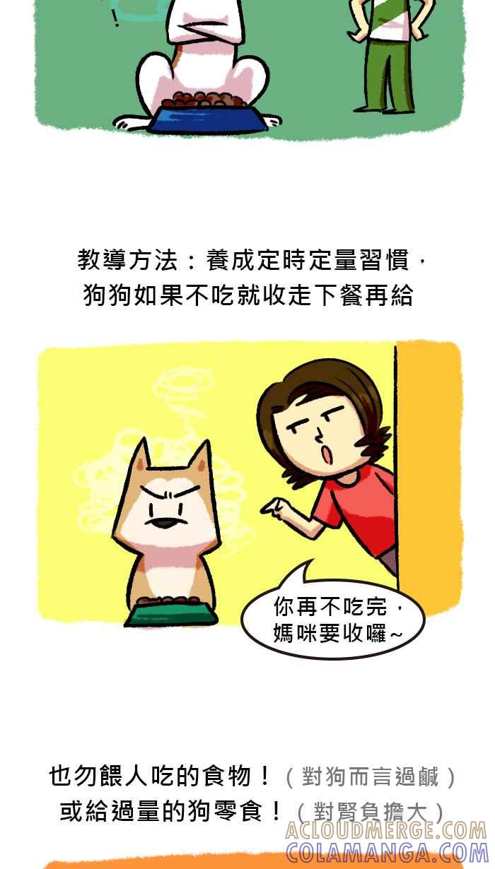 《柴犬周记》第63话 第4页