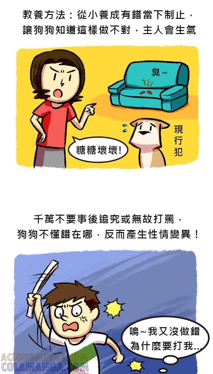 《柴犬周记》第63话 第6页