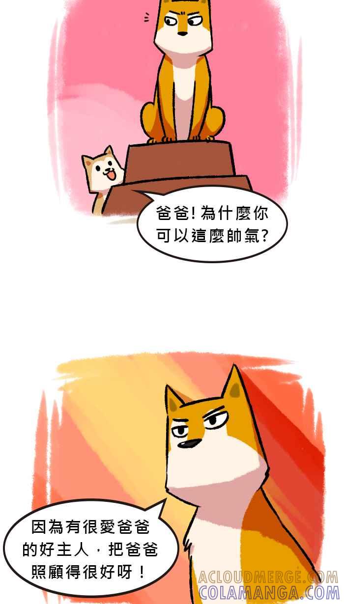《柴犬周记》第64话 第4页