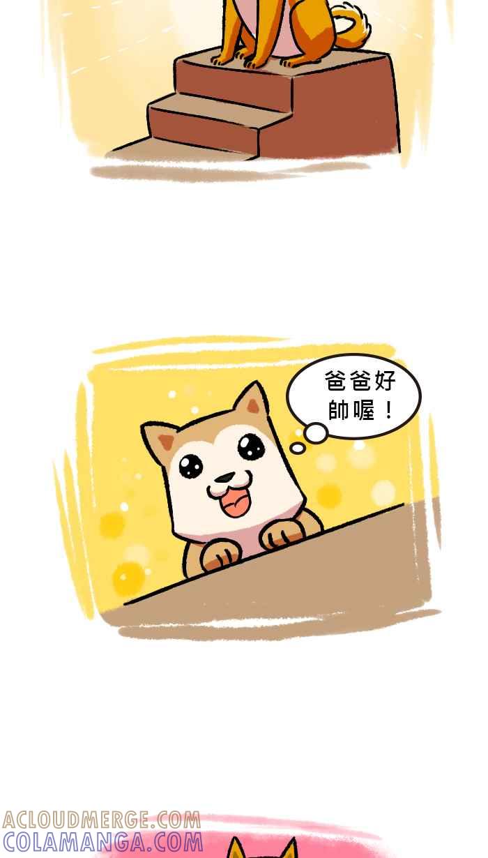 《柴犬周记》第64话 第3页